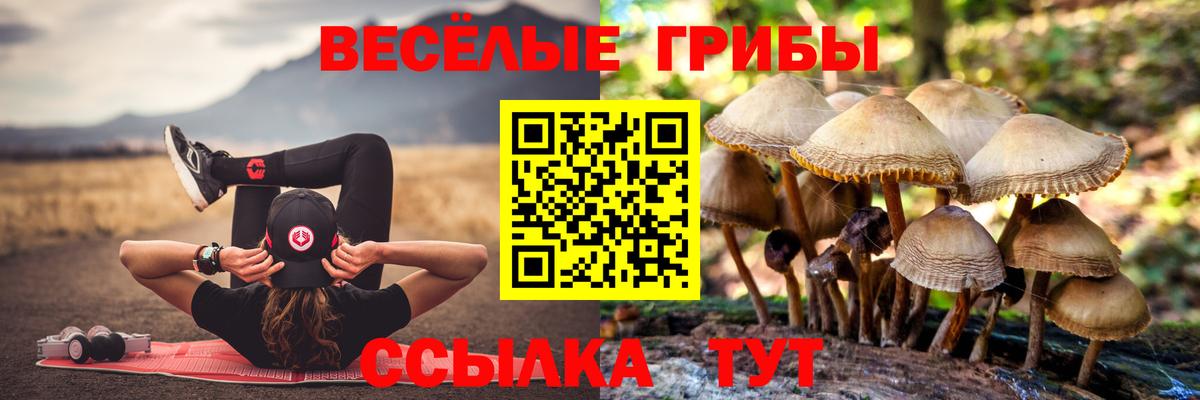 Псилоцибиновые грибы Psilocybe  Учалы 