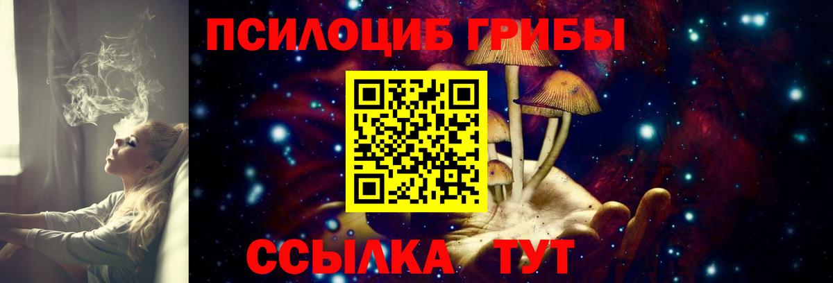 Псилоцибиновые грибы Cubensis Учалы